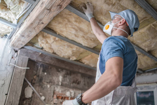 Best Crawl Space Insulation  in Bunker Hl, IL