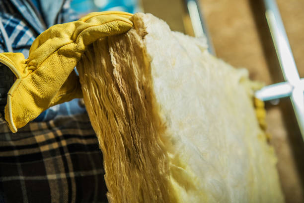 Professional Insulation Contractor in Bunker Hill, IL